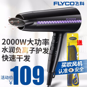 飞科(FLYCO)新制品FH 6229ドラヤホーム静音大出力ドライヤ美容室商用折りのたみ式携帯帯ドライヤスタンダード装备