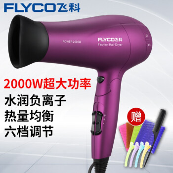 飛科（FLYCO）FH 6618ドライヤ大出力マイナオーン冷熱風静音ドラヤホームドライヤ紫【標準装備】